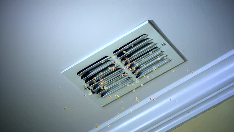 Best Residential Air Duct Cleaning  in Bloomfield Hills, MI